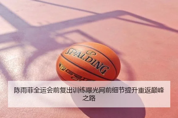 陈雨菲全运会前复出训练曝光网前细节提升重返巅峰之路