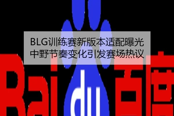 BLG训练赛新版本适配曝光 中野节奏变化引发赛场热议